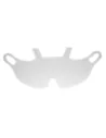 REPUESTO DE VISOR ENDURANCE PORTWEST PW56