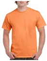 CAMISETA ULTRA COTTON ADULT T-SHIRT GILDAN GD2000