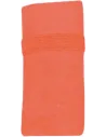 TOALLA MICROFIBRE SPORTS TOWEL 50X100CM PROACT PA574