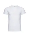 CAMISETA SLIM-T MEN RUSSELL R155M0