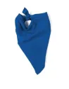 PAÑUELO PAÑUELO CUADRADO BAIZINKA BK063