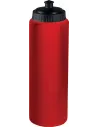 BOTELLÍN SPORTS BOTTLE - 1000 ML PROACT PA560