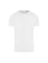 CAMISETA AMBARO RECYCLED SPORTS T AWDIS EA004