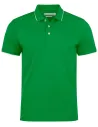 POLO GREENVILLE MODERN HARVEST 2135036