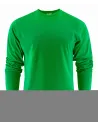 CAMISETA HEAVY T L/S PRINTER 2264016