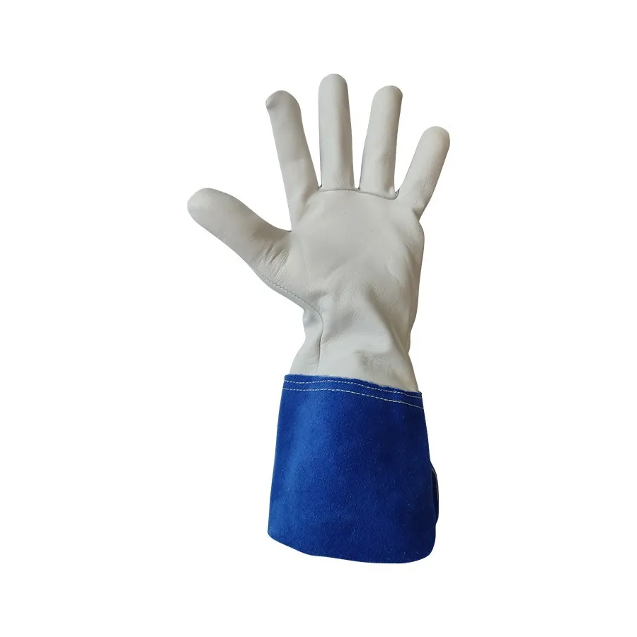 https://www.dateriumsystem.com/appfiles/clientes/12/catalogo/408TIG palma.jpg