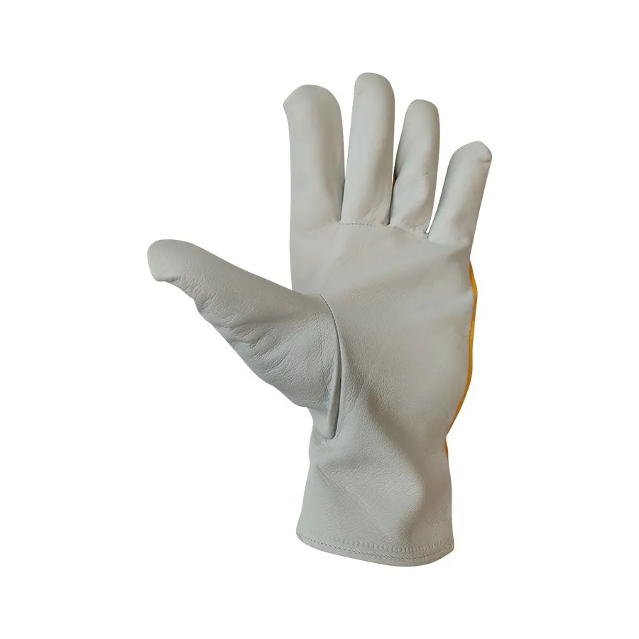 https://www.dateriumsystem.com/appfiles/clientes/12/catalogo/416 palma_0.jpg