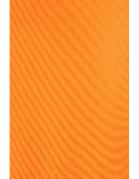 https://www.velilla-group.com/media/catalog/product/1/4/14001_19_20.jpg