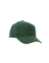 GORRA DENVER PAYPER S00681P133