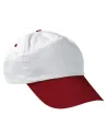 GORRA PROMOTION VALENTO GOVAPRO