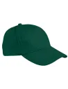 GORRA TORONTO VALENTO GOVATOR