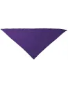 PANUELO TRIANGULAR FIESTA VALENTO PNVAFIE