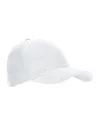 GORRA MINNEAPOLIS VALENTO GOVAMIN