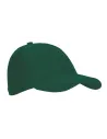 GORRA MINNEAPOLIS VALENTO GOVAMIN