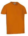 CAMISETA INFANTIL M/C DINO VALENTO CAVADIN