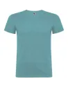 CAMISETA BEAGLE ROLY CA6554